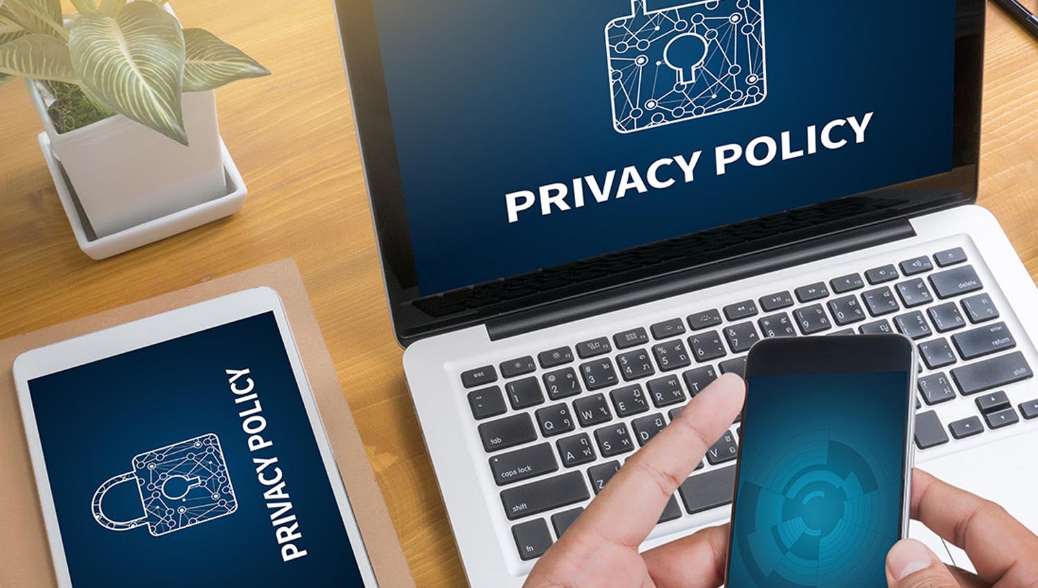 Privacy Policy - Promos Web 22